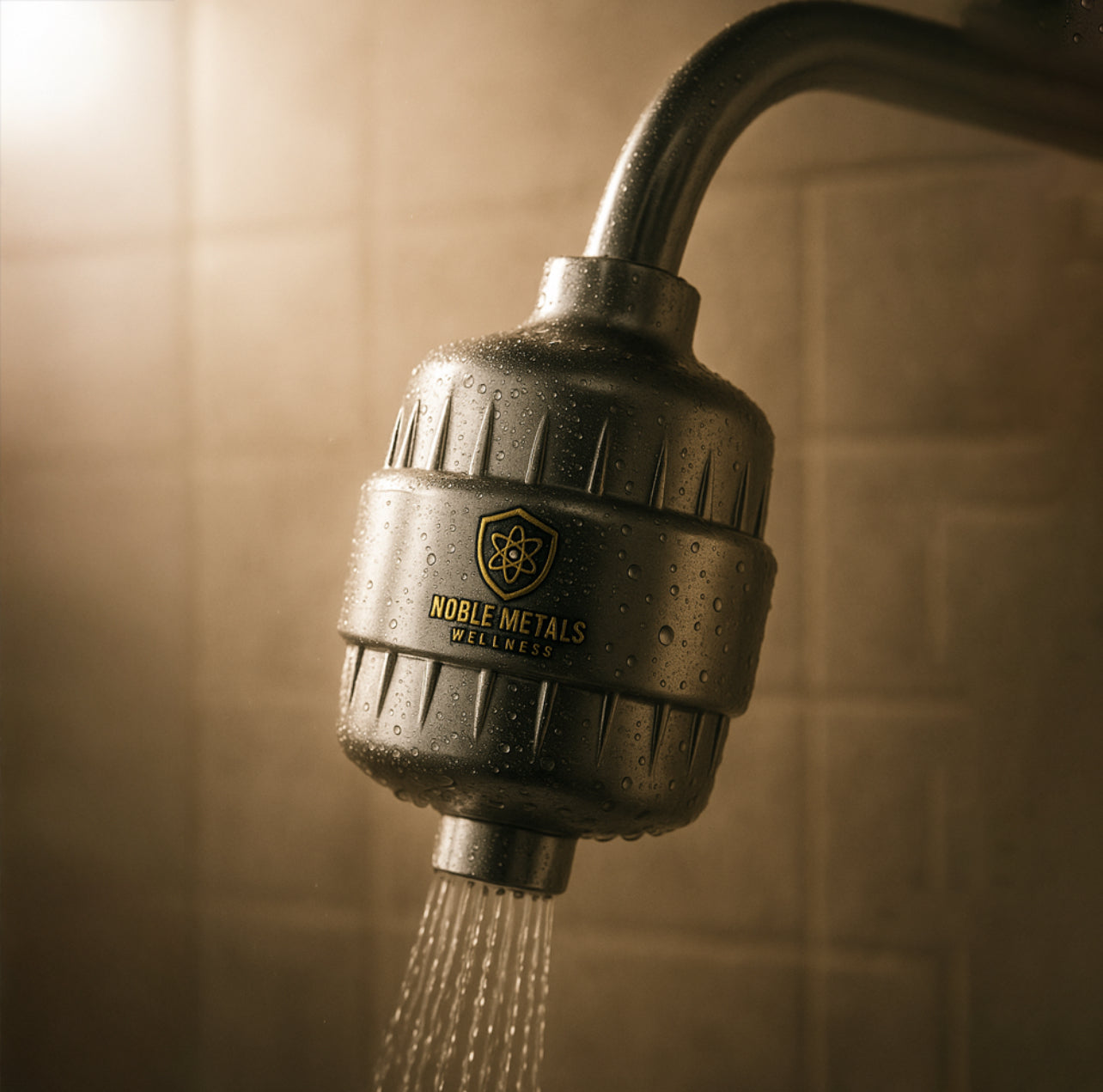 NanoSilver Shower filter