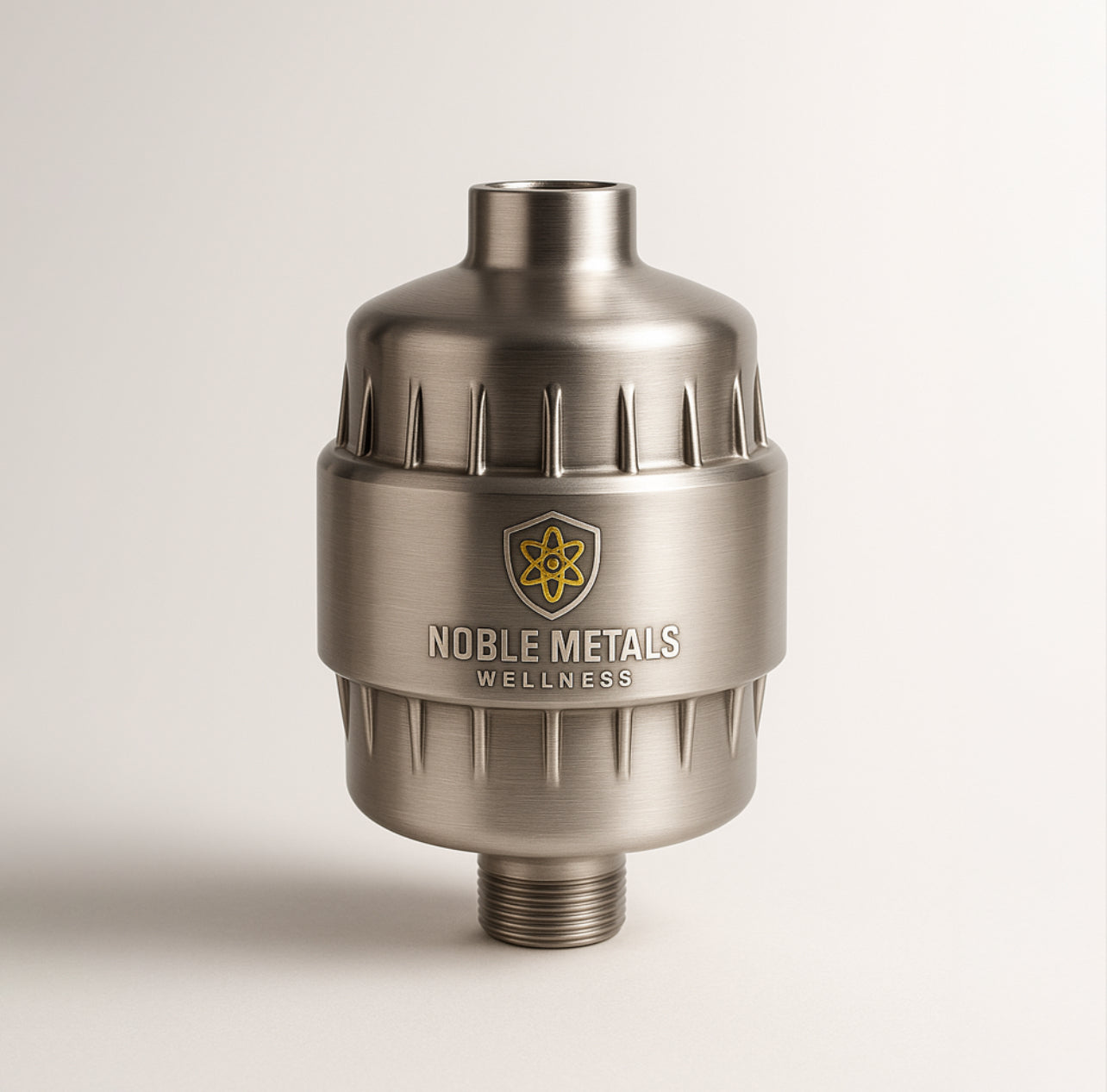 Silver Shower filter
